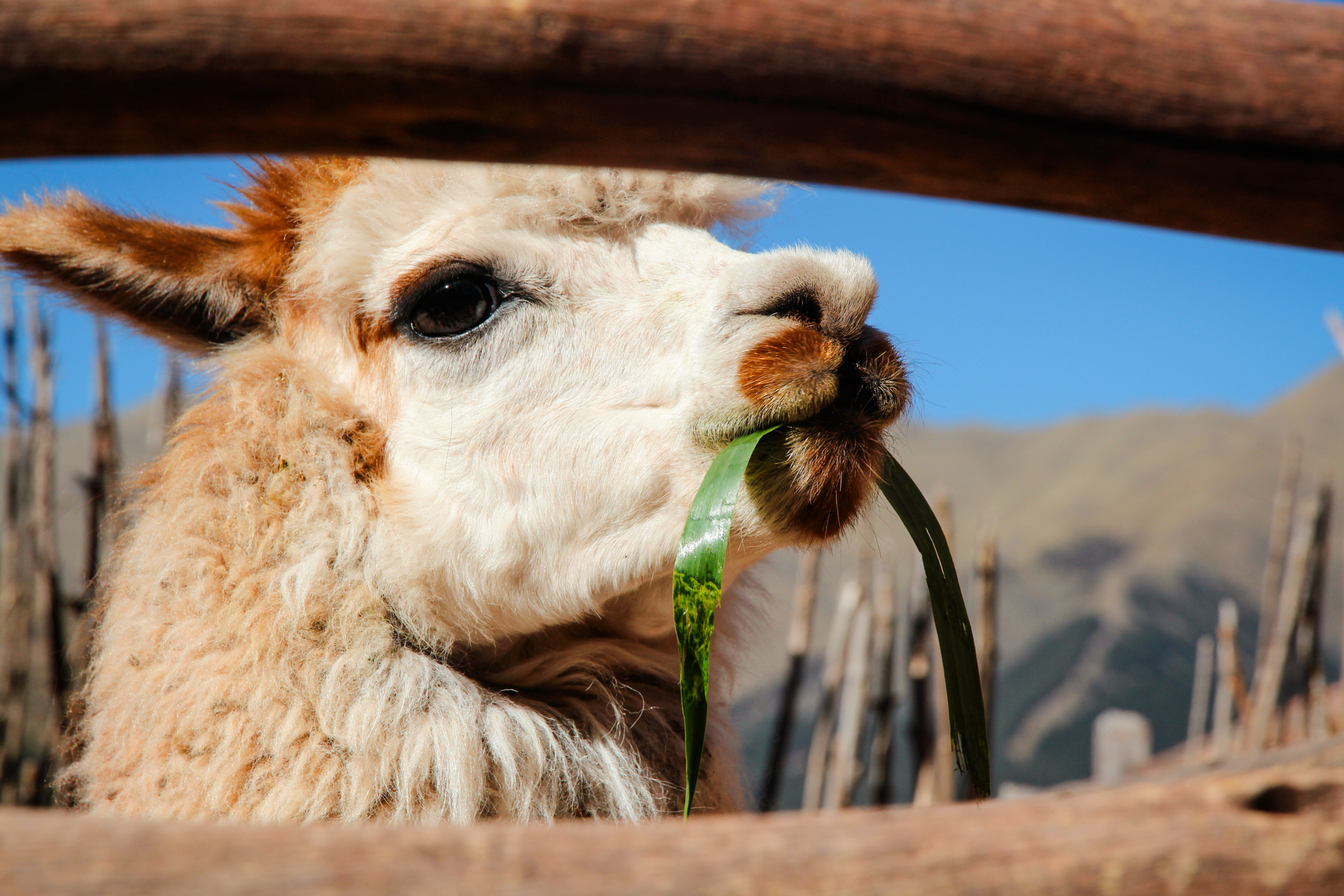 Where to go in Bolivia and Peru: The ultimate itinerary