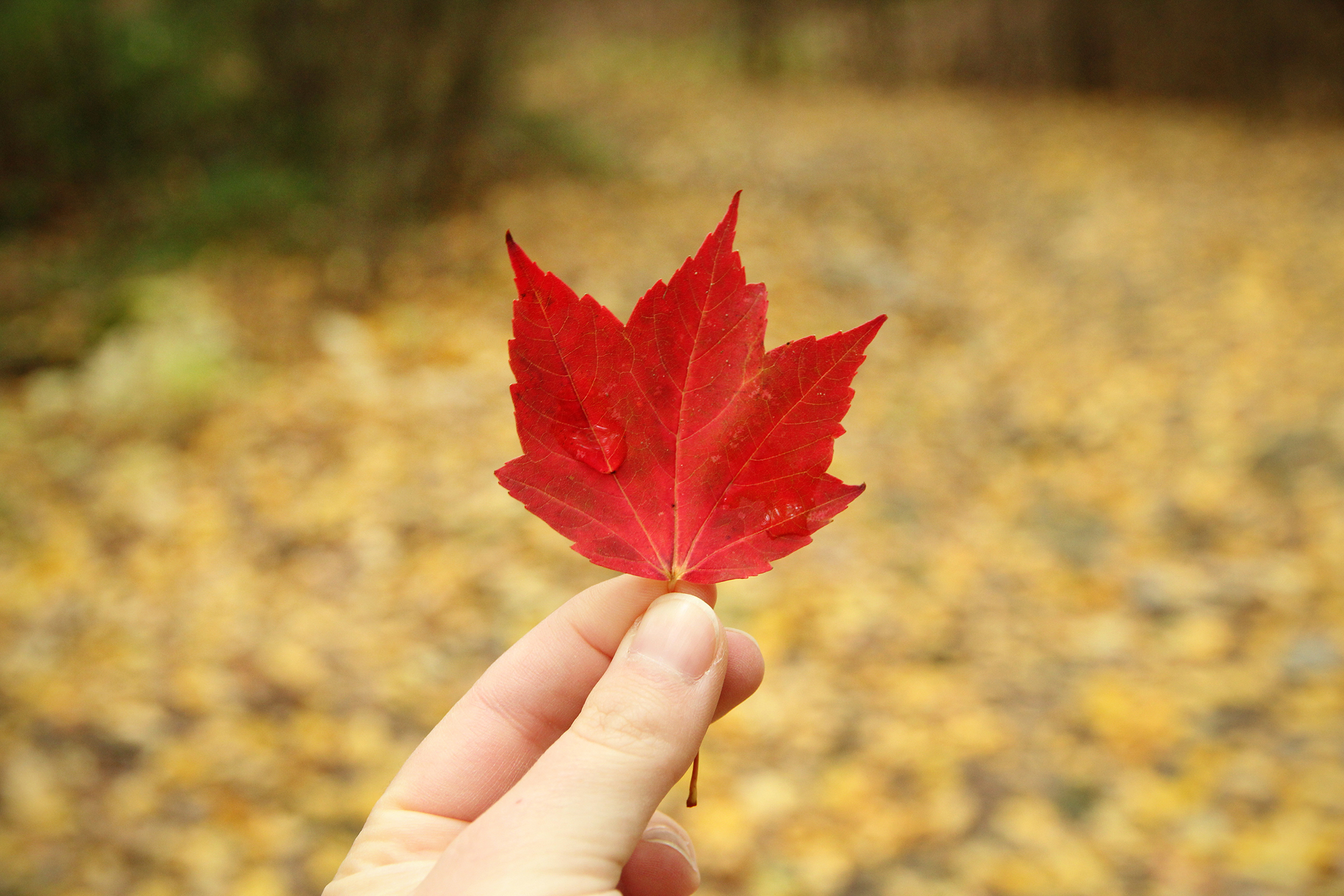 How to be a more sustainable traveller