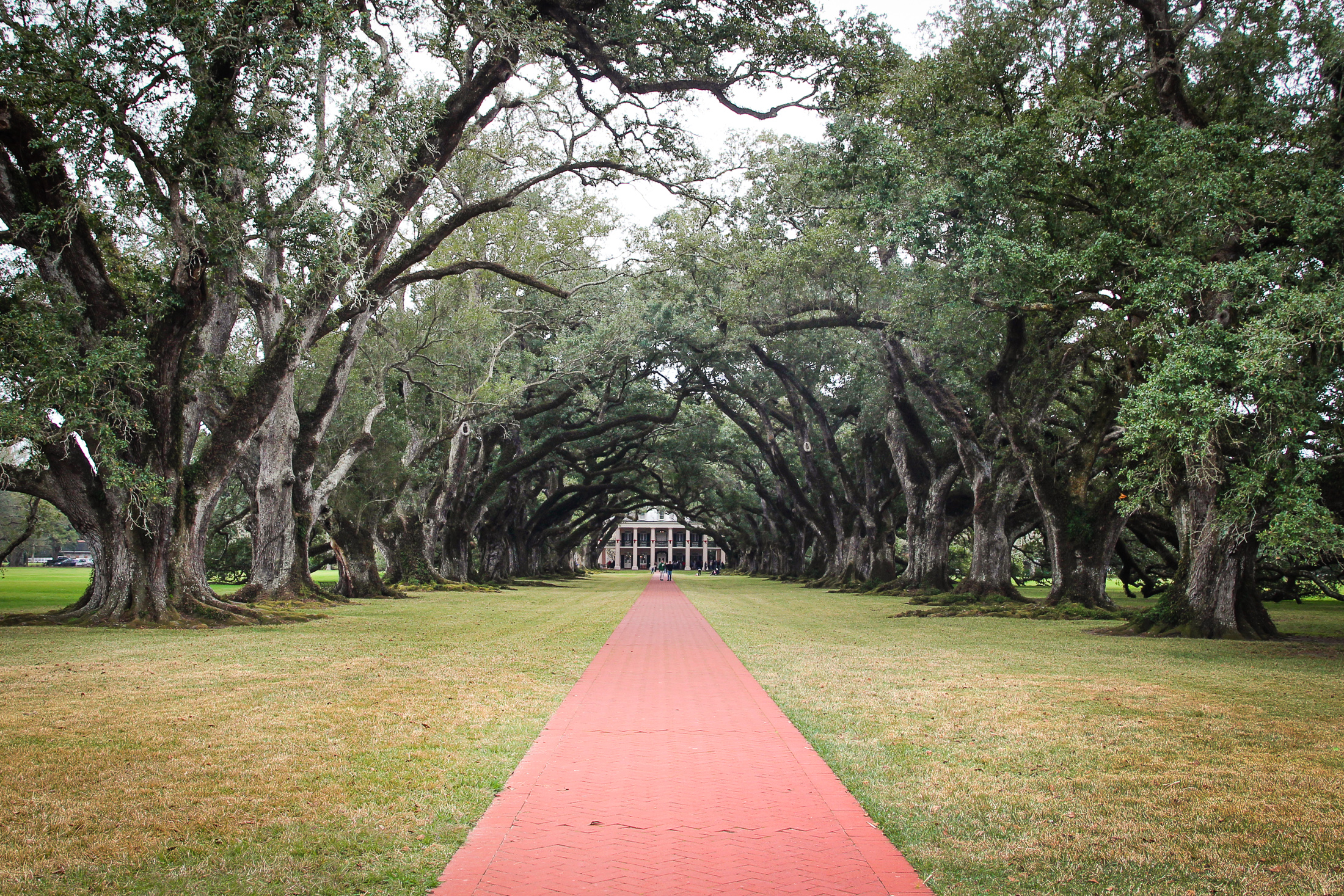 My 2 week itinerary for a southern US road trip!