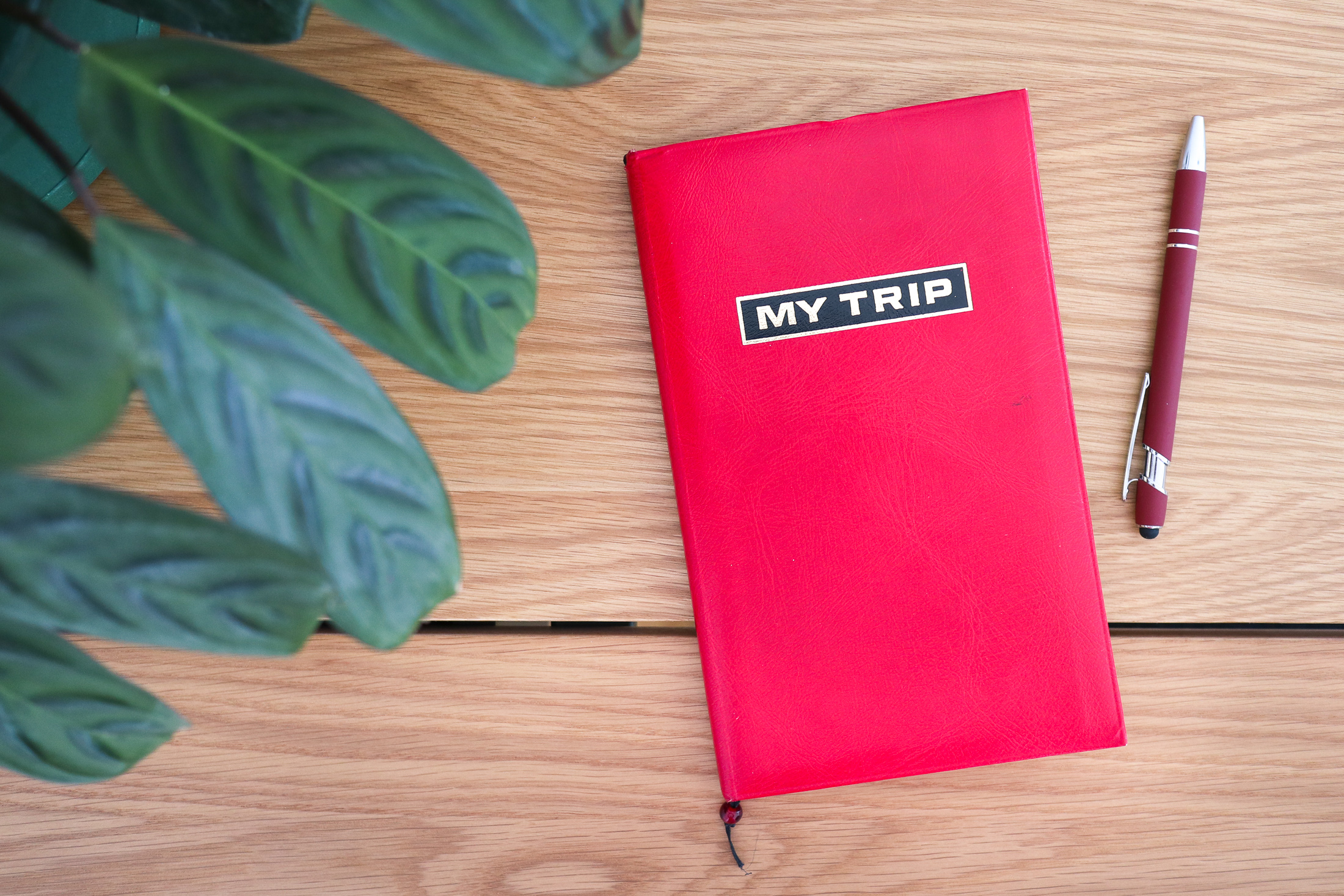 5 genius ways to collect souvenirs like a minimalist