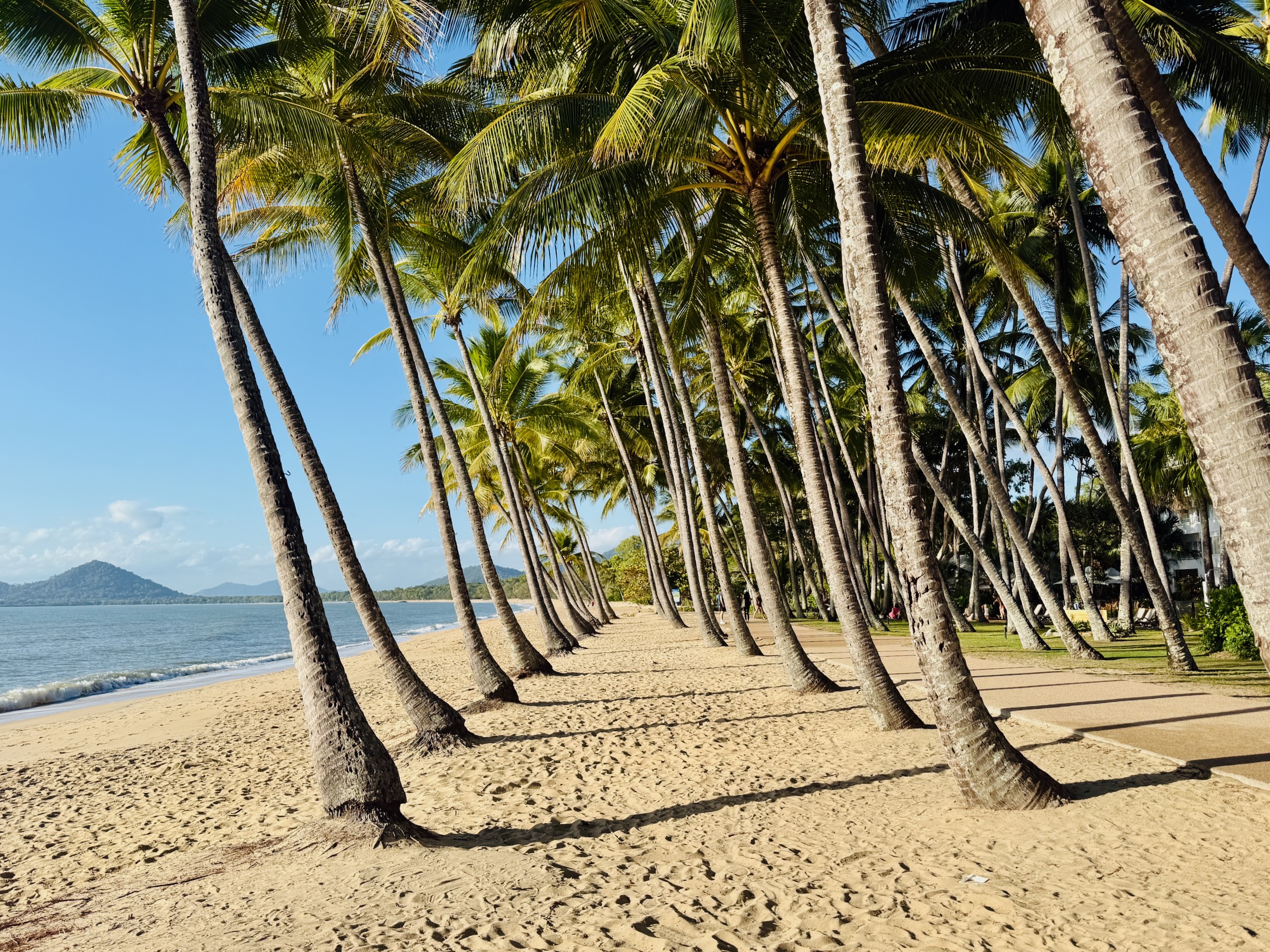 Palm Tree Tunnel on Palm Cove Beach