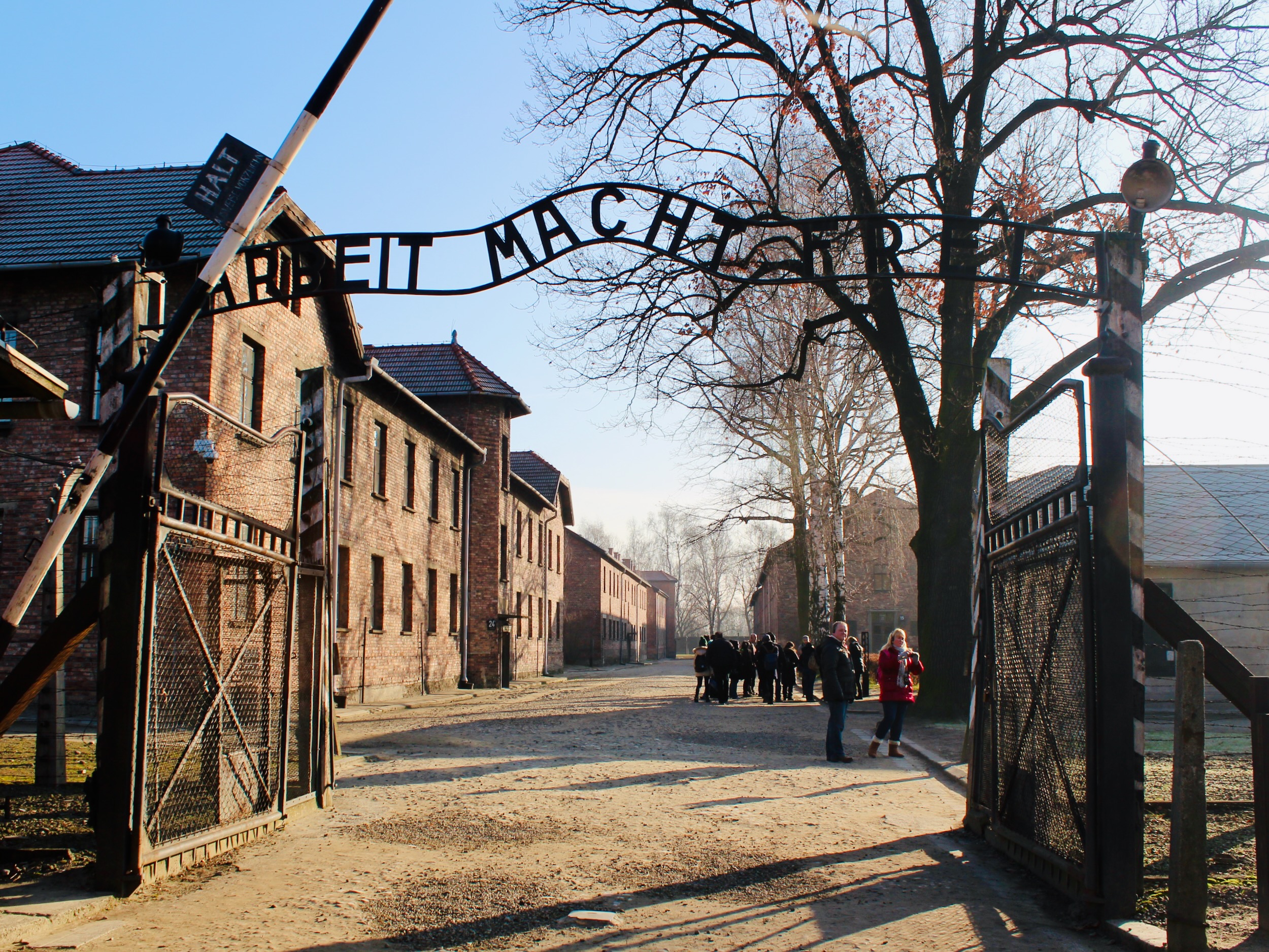 How to visit Auschwitz on a day trip from Kraków