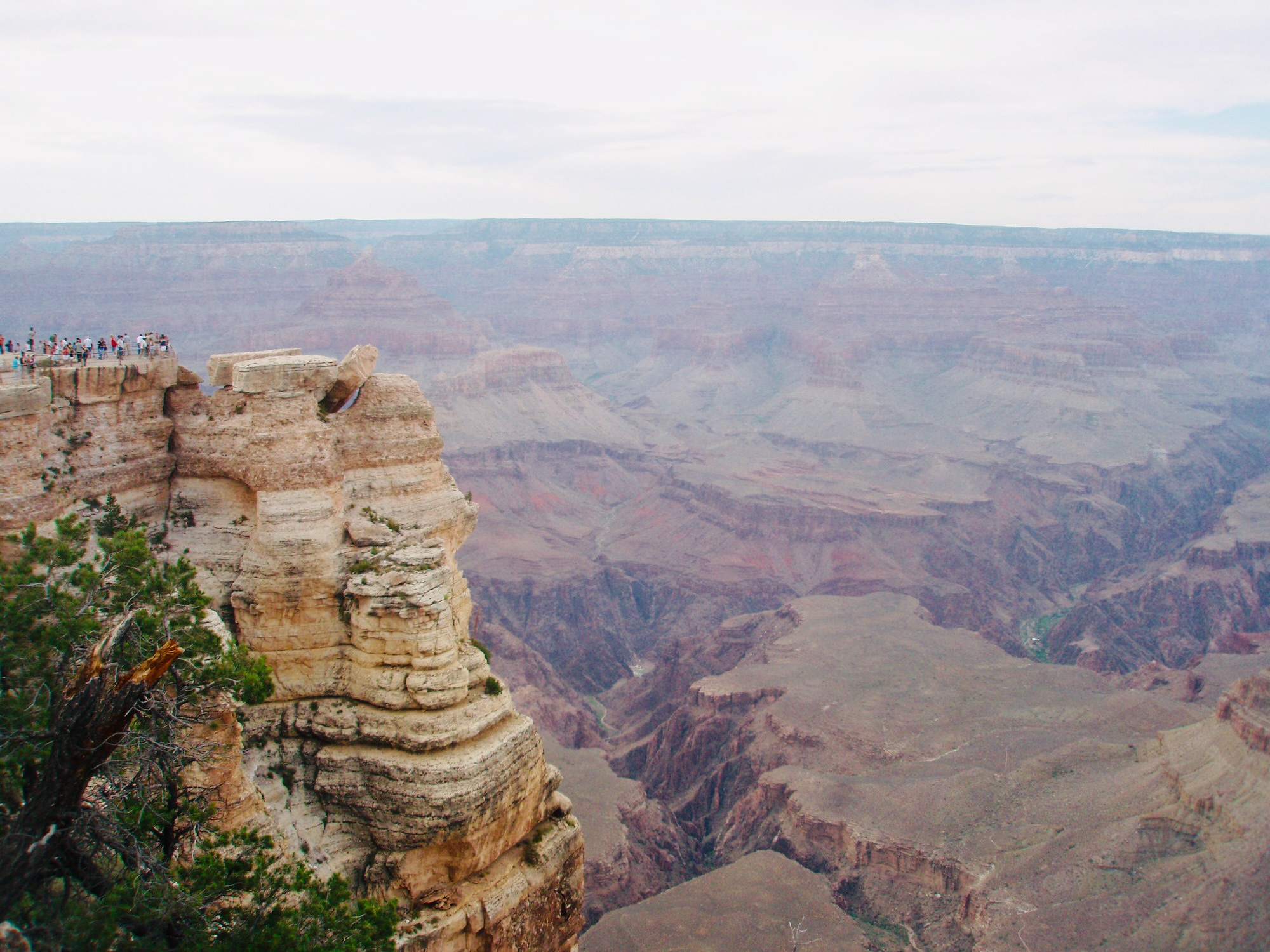 Grand Canyon South Rim vs North Rim: Which should you visit?